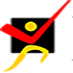 logo bnsp 2